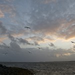 170905-Galway-200112